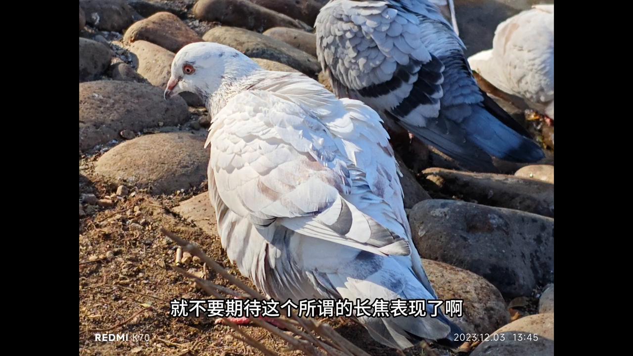 红米k70夜晚拍照怎么拍,红米k70摄像水平