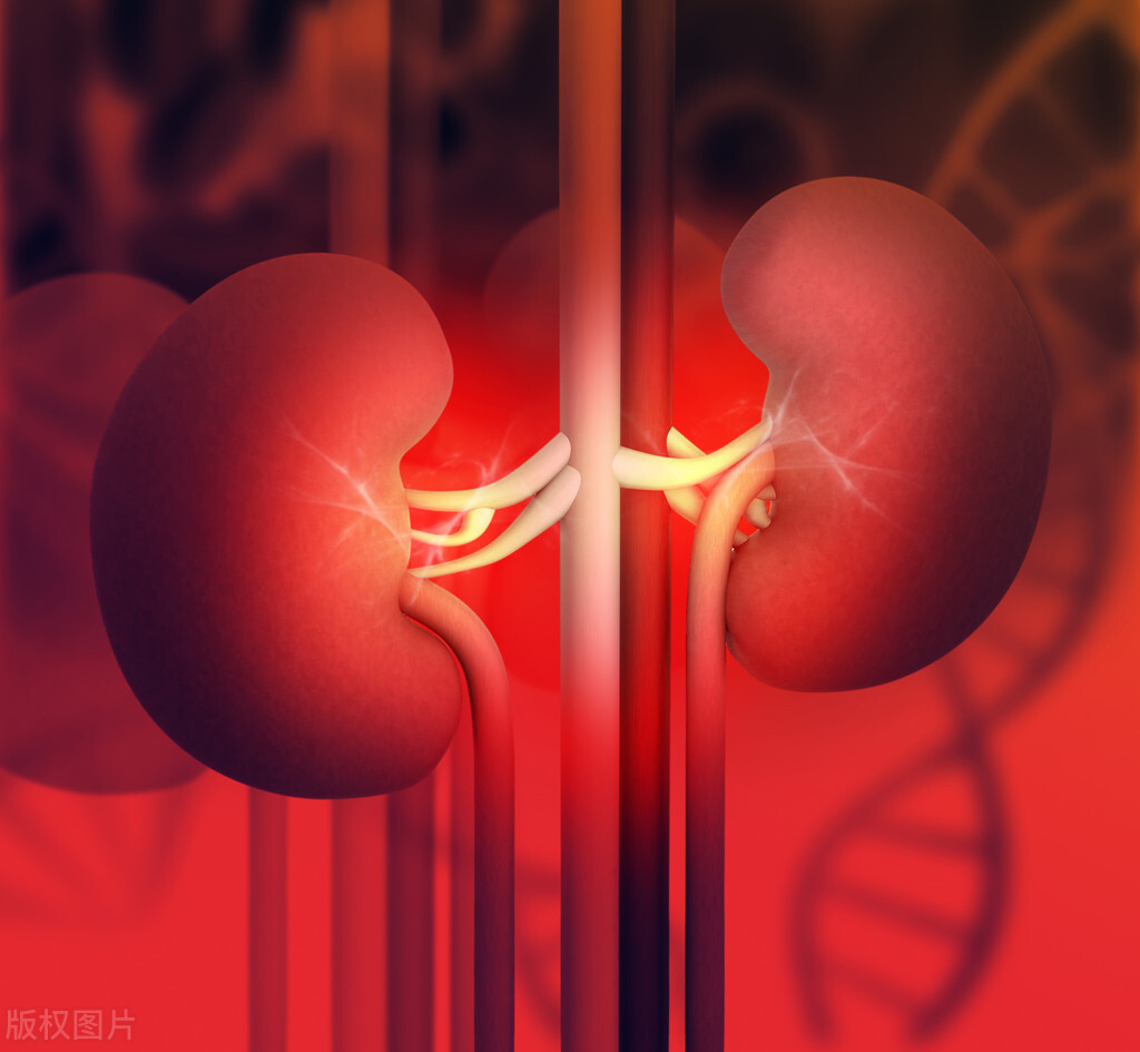 20岁肾衰竭是什么原因,20多岁就得了肾炎