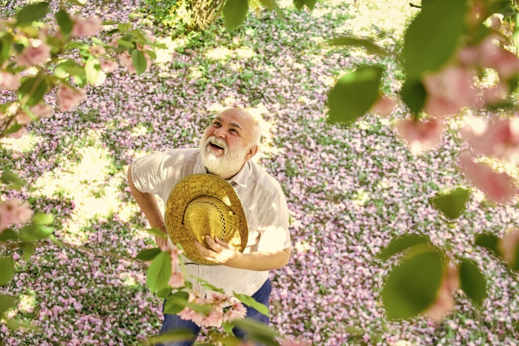 春季生发应如何调理肝脏,中医春季如何调肝养肝