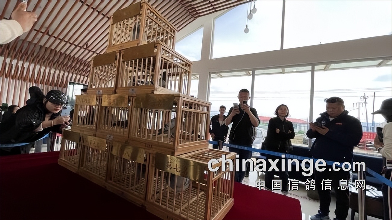 开尔春棚决赛亚军轨迹,开尔春棚决赛名单