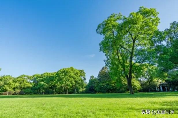 明天农历九月初十，你知道是什么日子吗？老祖宗留下的谚语怎么说