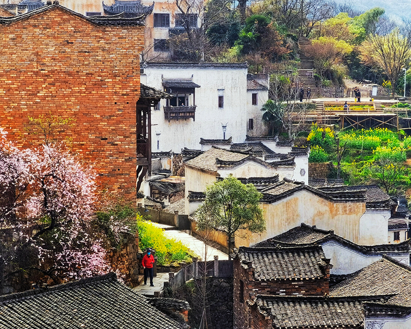 春色满园风景摄影,婺源摄影写真