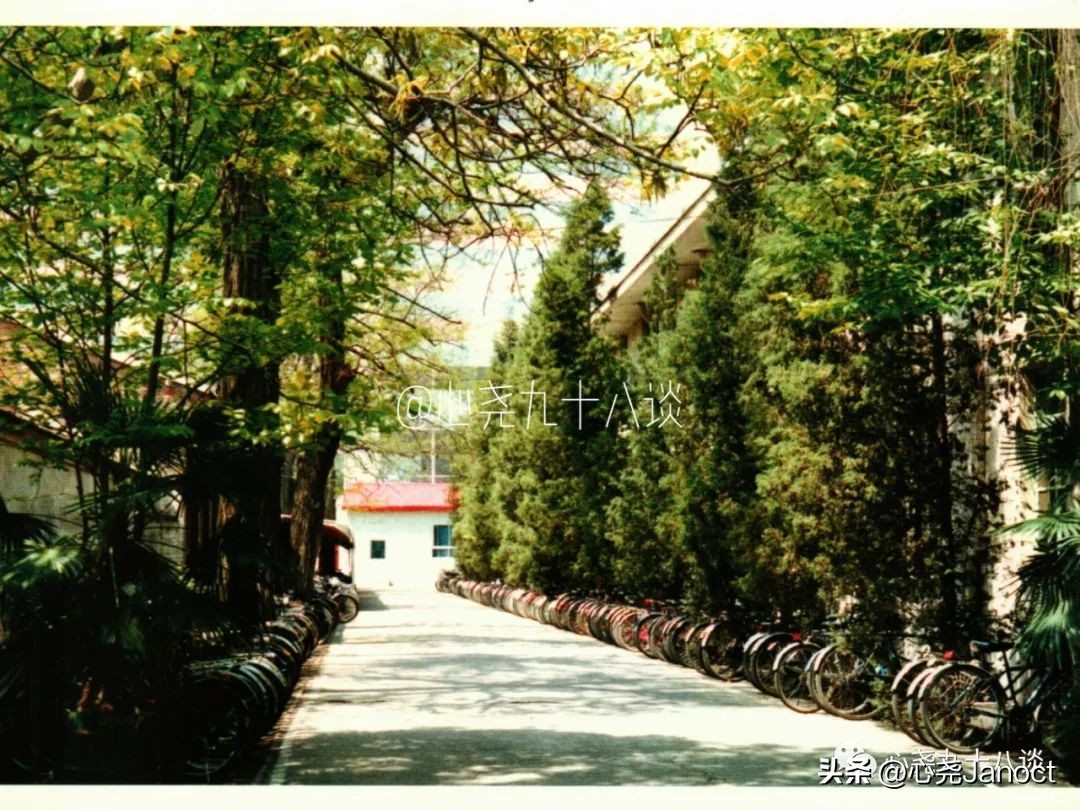 一张明信片的记忆,一枚邮票勾起的回忆