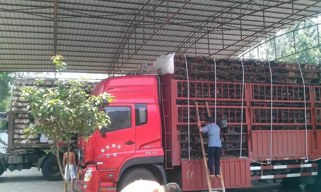 骑行拉萨2012.06.18