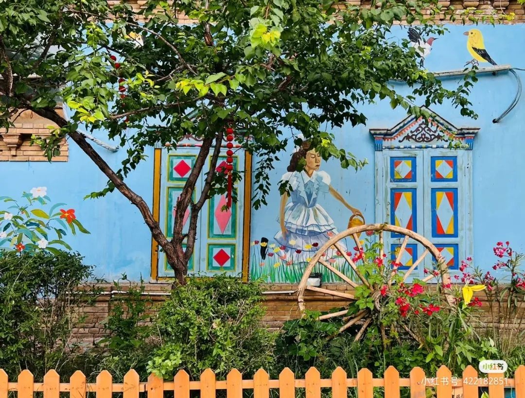 *疆新**多姿多彩的民宿，总有一款适合你！