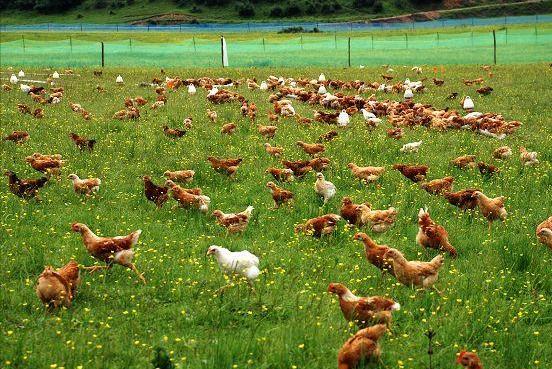 农村女孩进城打工，意外发现商机决定回家创业，一年却净赚4000万