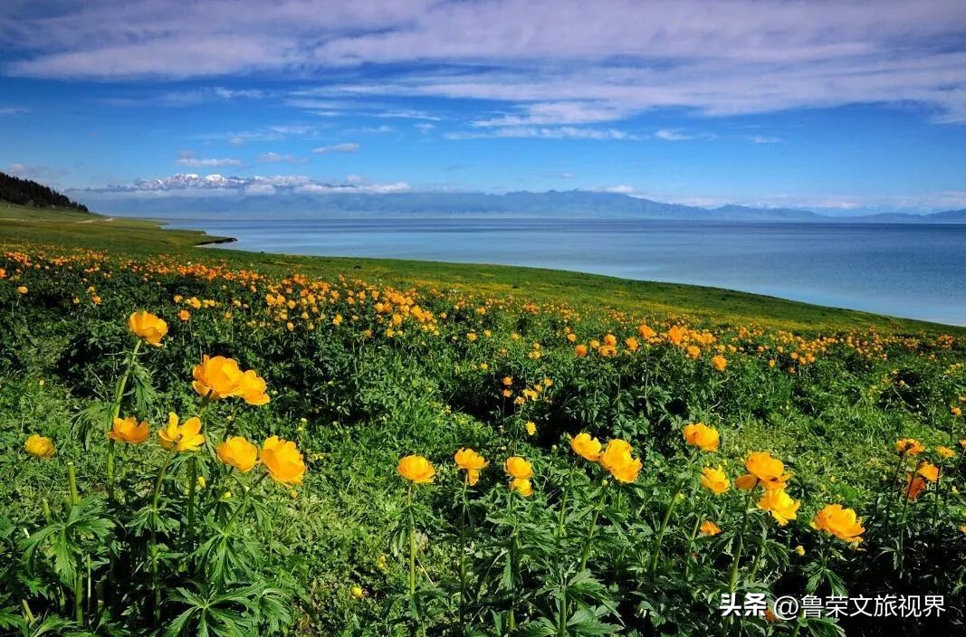 大美新疆的风景有哪些,大美新疆北疆美