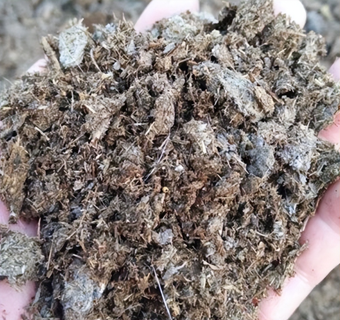 鸡粪还能干什么,蒸汽可以烘干鸡粪吗