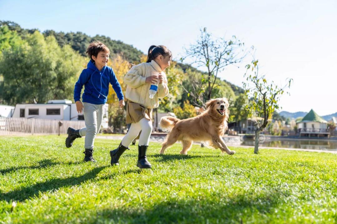 合作共赢！日光域百村振兴计划成渝首发第一村——新津九莲·慵也谷项目招商启动