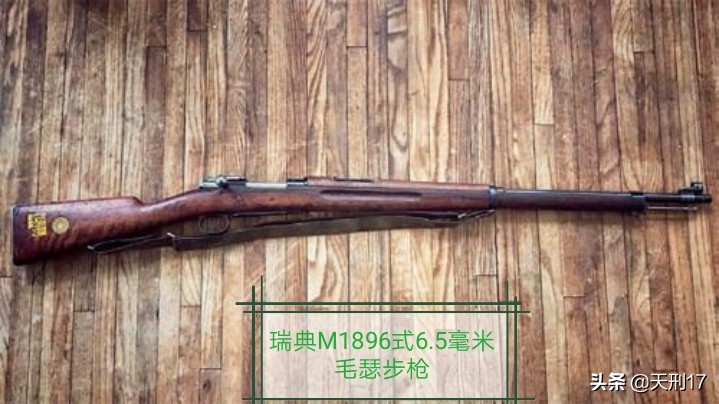 清军毛瑟,清政府引进步枪