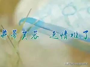 一天【学】一成语:并蒂芙蓉