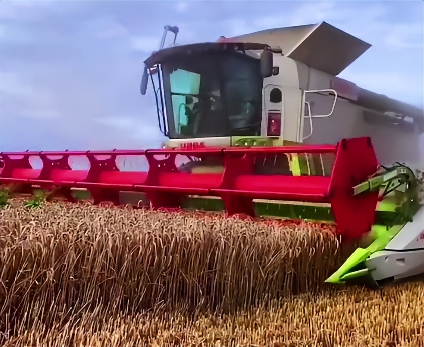 格拉斯大型联合收割机收割视频,大型克拉斯收割机工作视频