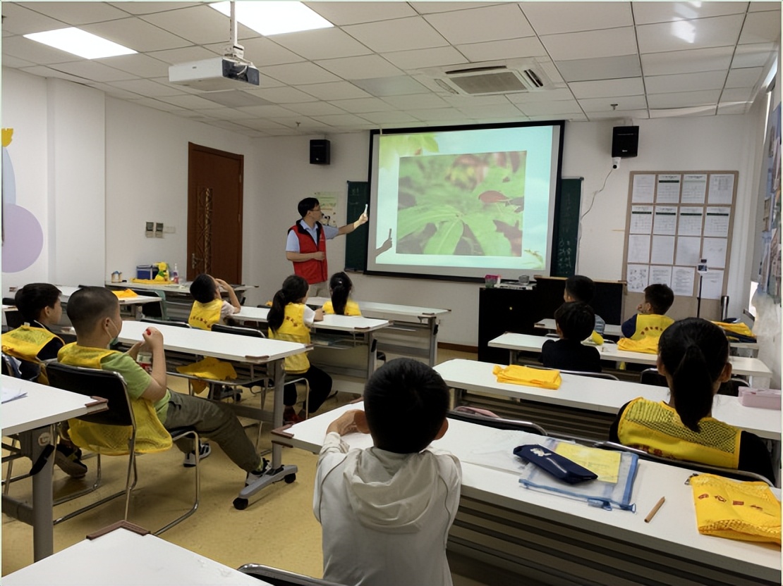 在上海科技馆探索神奇科技世界,昆虫知识公益科普活动