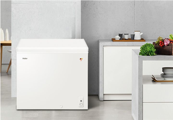 家里有冰箱还想买个冰柜多大合适,家里想买个小型冰柜推荐