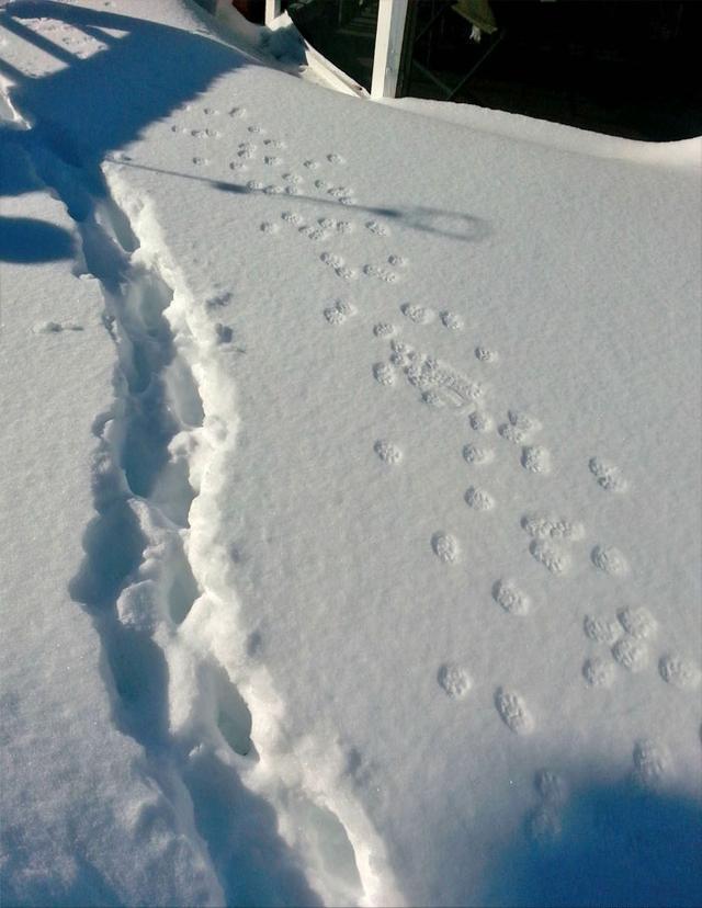 38张罕见的对比照片让人大开眼界,30张对比图片看到最后一张惊呆了
