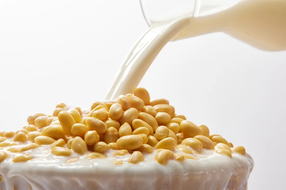 日本人长寿秘诀家常菜,日本人长寿6条秘诀