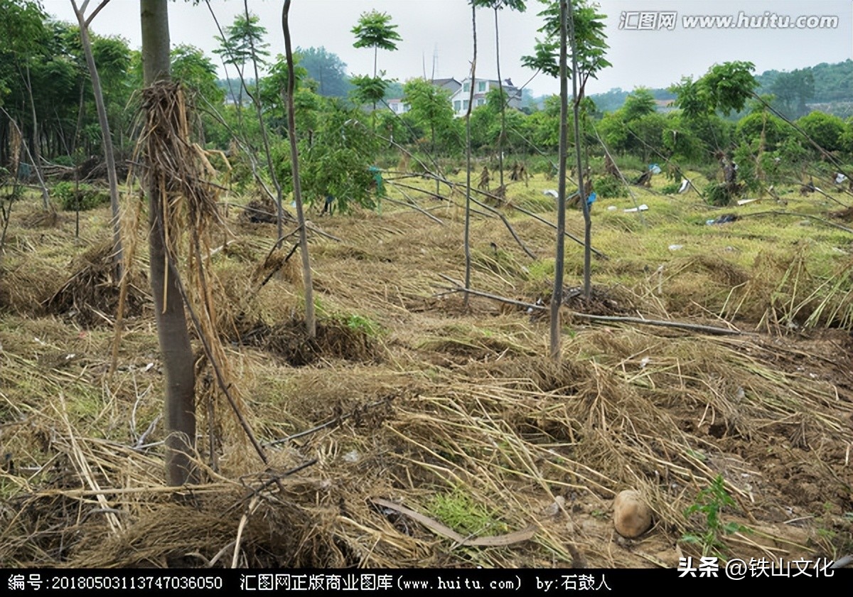 758洪水见证者自述,抗洪新闻人