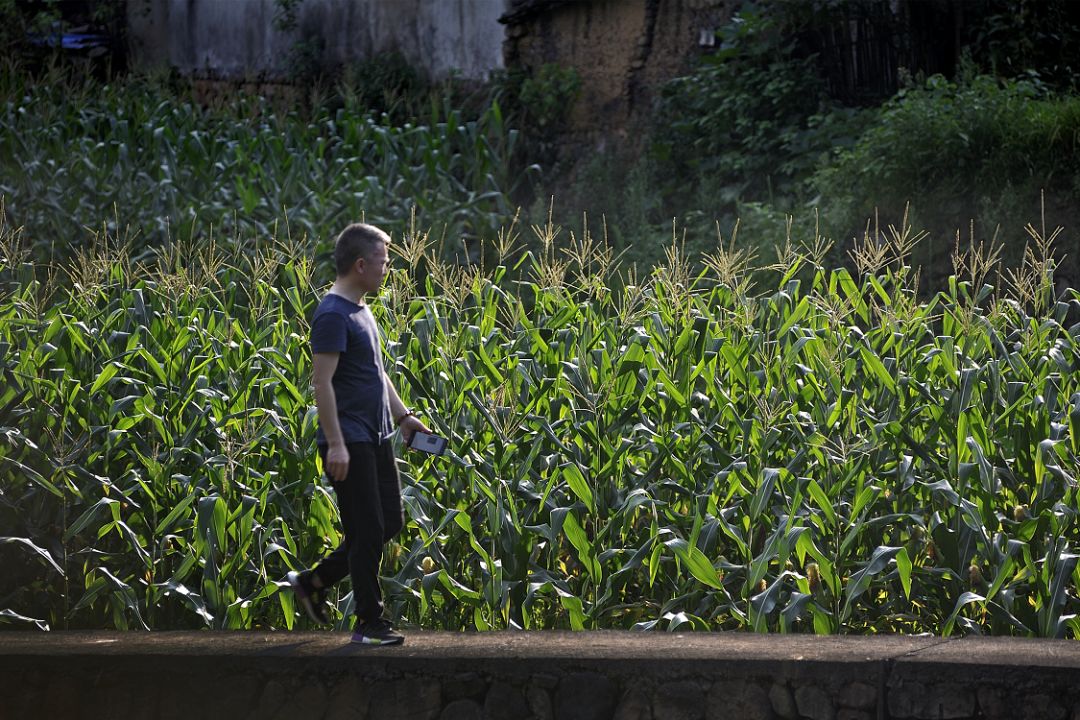 打卡差评网红民宿,打卡网红民宿推荐