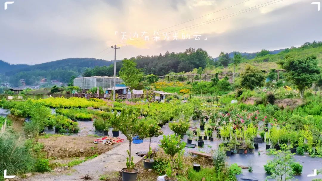 乌当区偏坡六月六民族风情节举行,偏坡旅游