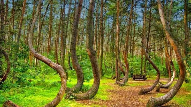 鬼斧神工大自然十大奇观,地球上的七大自然奇观