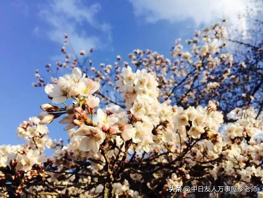 在日本留学打工都干什么,在日本留学一年要花多少钱打工