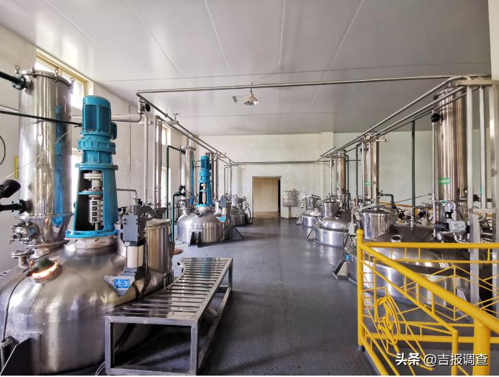 通化市中医药,中药材之乡通化