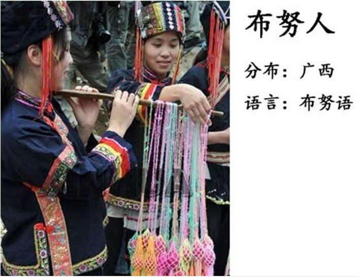 56个民族以外的中国45个人数更少的民族