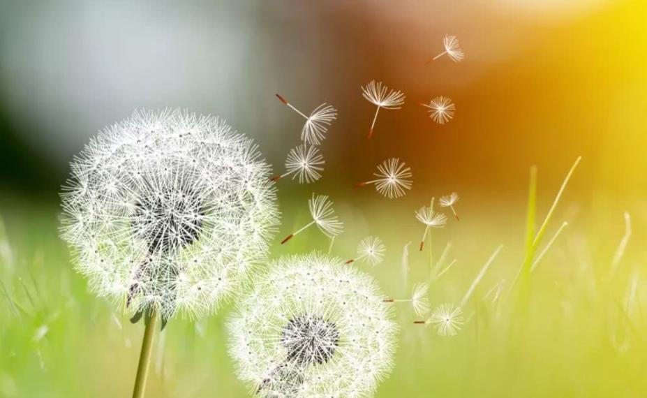 命里的钱都是有数的,命里没钱的因果