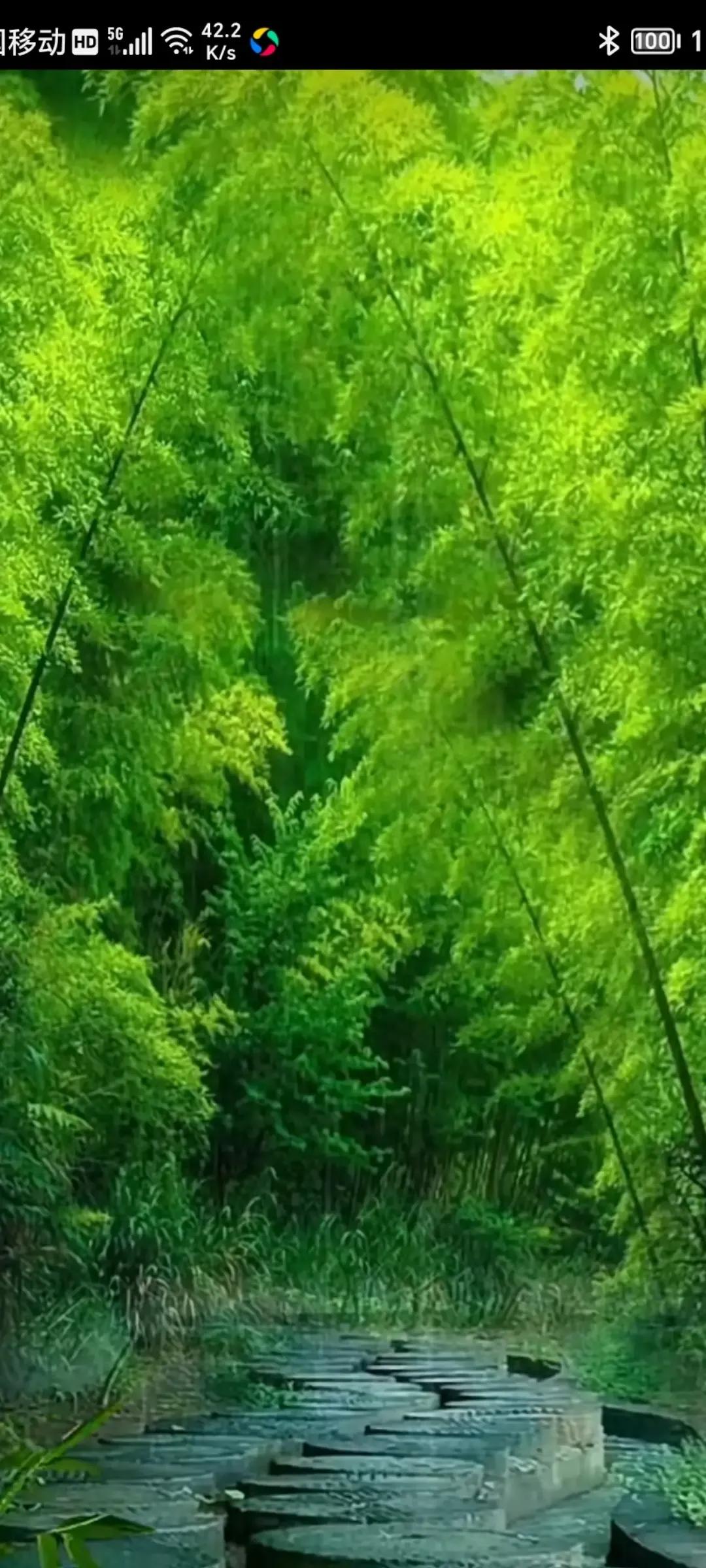 2023年农历是什么年癸卯年,2023年农历癸卯年是金兔年吗