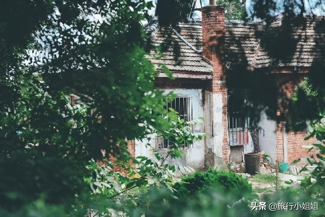 夏日海边浪漫迷人,滨城风光秀丽浪漫气息爆表