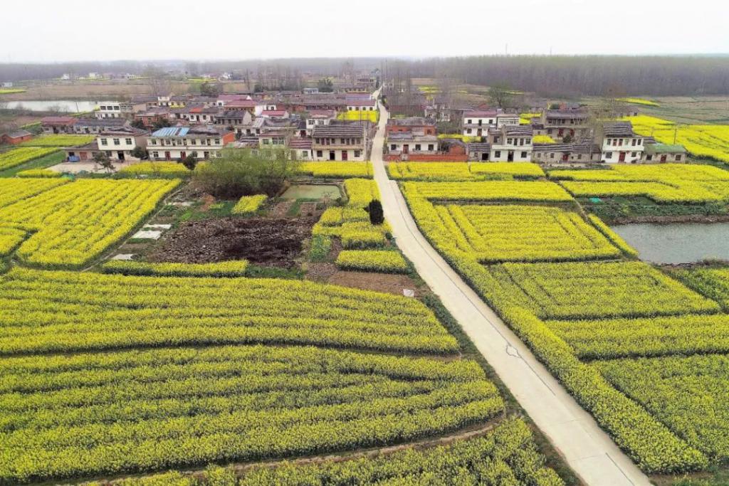 合肥和石家庄哪个城市比较好,合肥最有潜力的省会