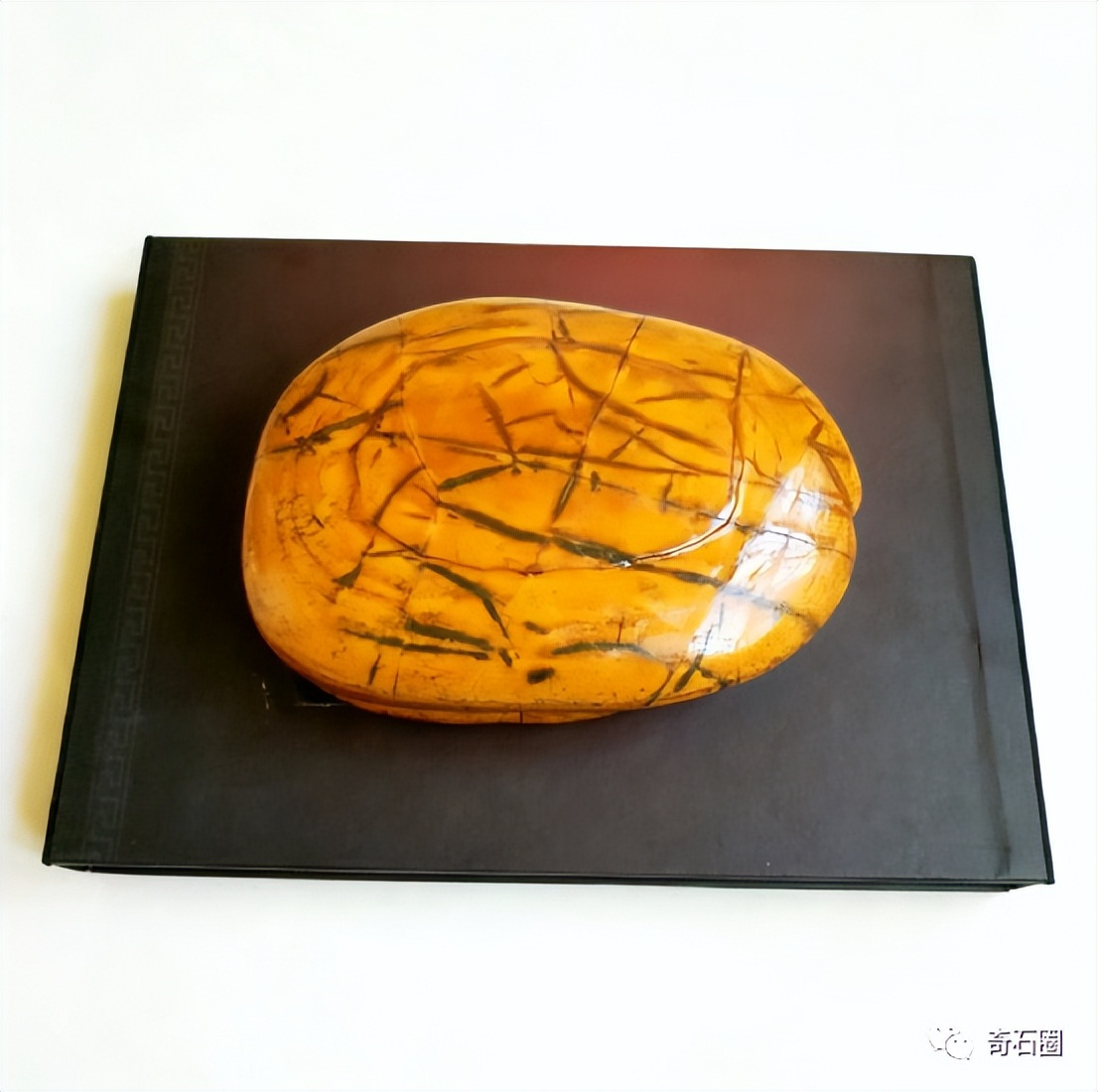 龟形奇石图片大全,获奖奇石龟图片大全