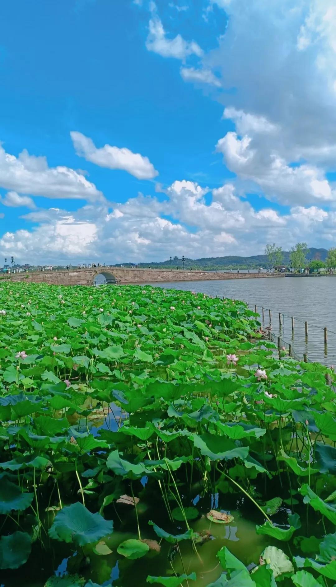 浙江最值得去的十大景区,浙江玉环十大景区排名