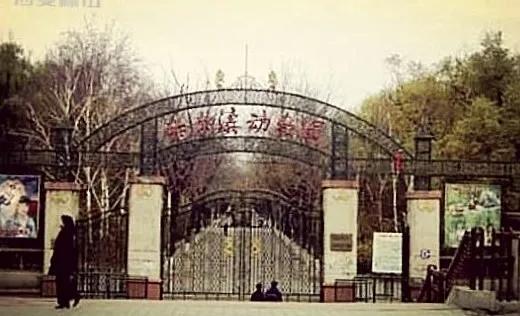 忆旧时,最初的马家沟