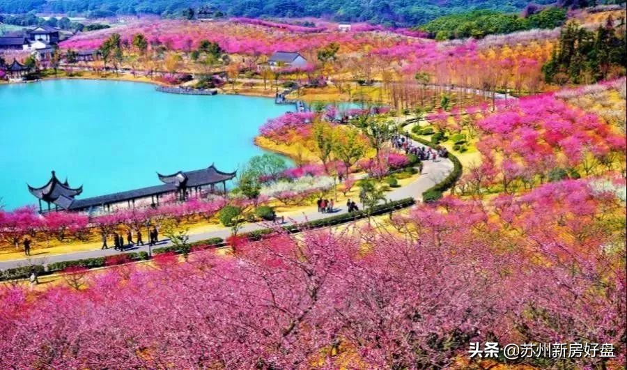 鑻忓窞鍚勫幙鍖虹殑鍘嗗彶,鑻忓窞甯歌婧簮闃蹭吉鐗圭偣