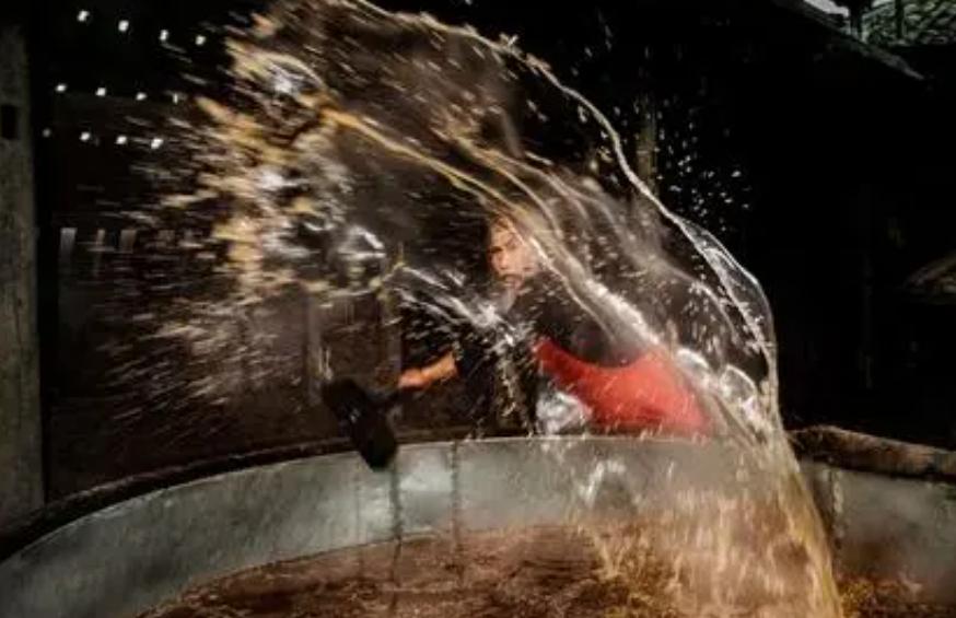 中国古代酿酒技术发展历程,历史传承至今的酿酒工艺