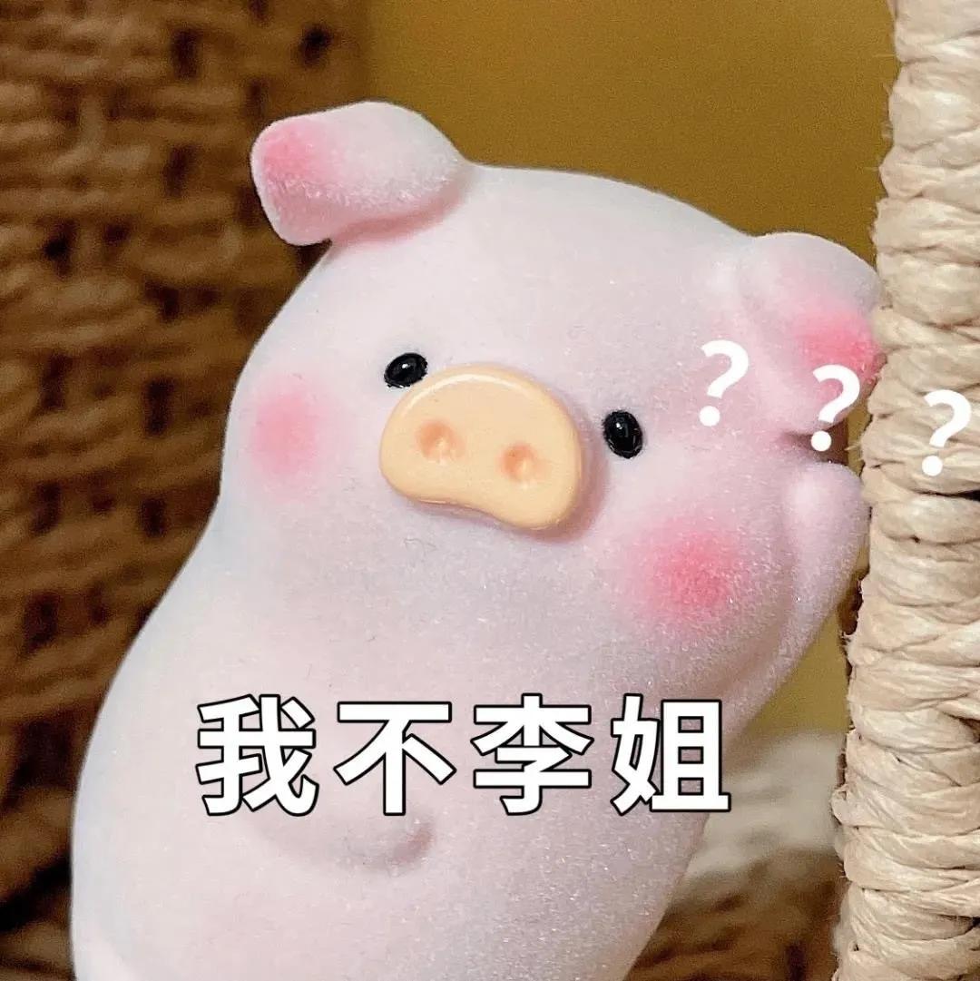 可爱的动物表情包画像,动物表情包猫猫