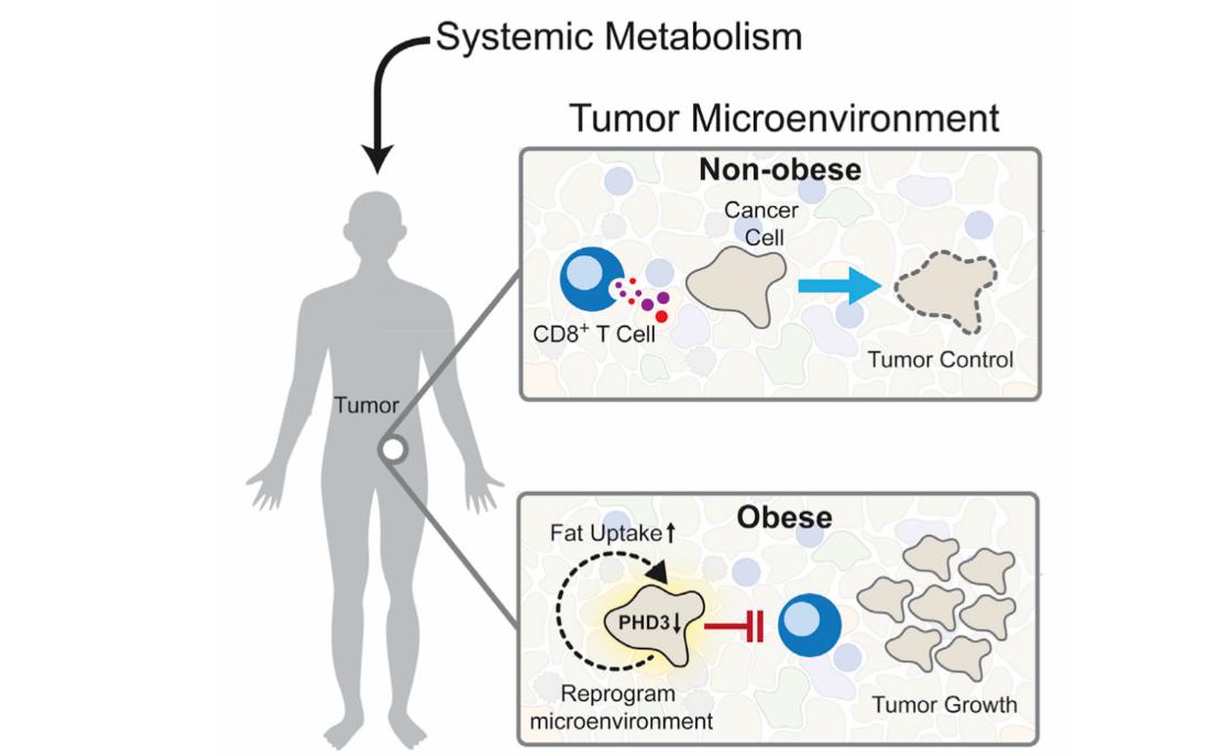 抗癌最新突破消息治肺癌,抗癌最新突破