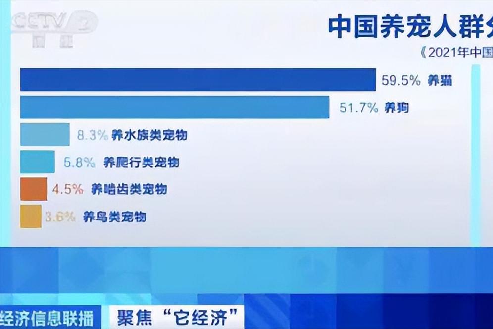 如果孩子想要一只宠物，家长先别左右为难，看完这篇文章再做决定