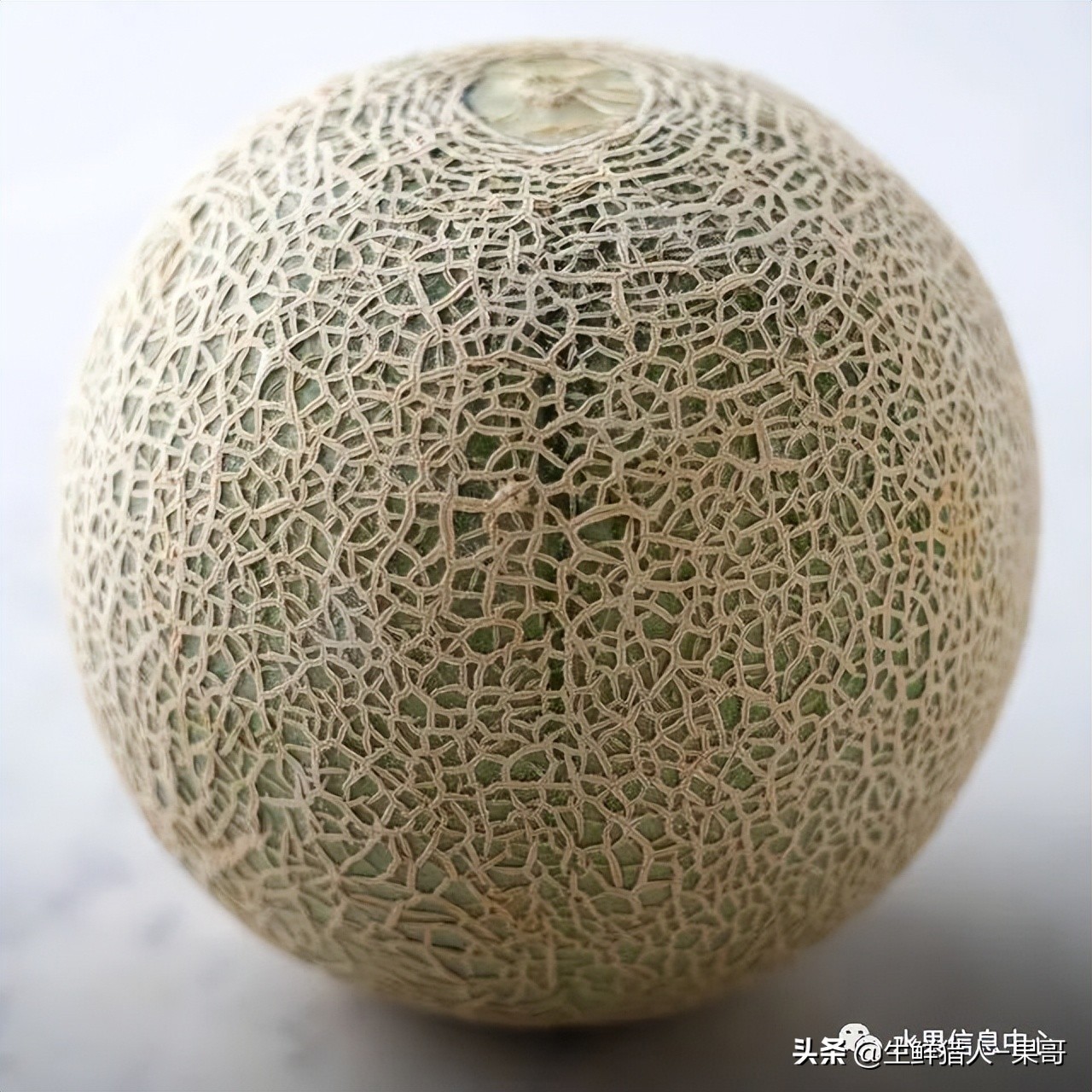 黄金蜜瓜网纹瓜和哈密瓜哪个好,羊角蜜就像哈密瓜和香瓜的结合