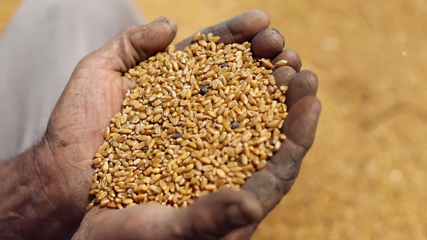 *纪委中**:探索实行行贿人名单管理制度,让行贿人付出应有代价;八项规定长期有效/今晨河南多地仅有3到5度