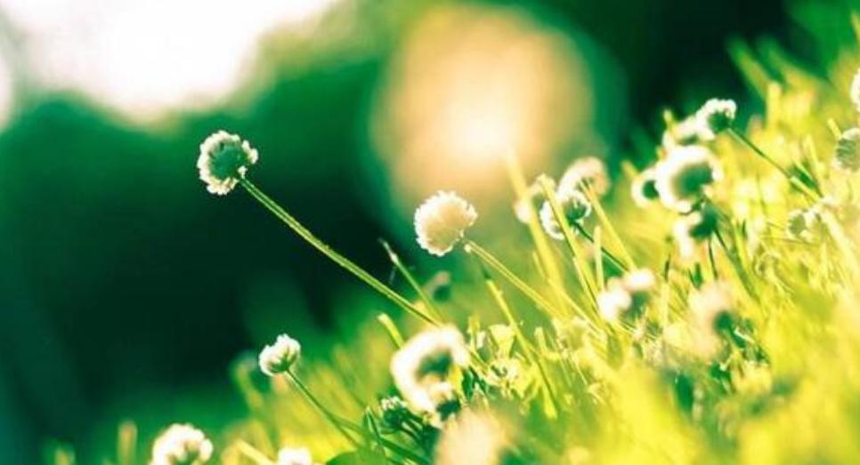 评论公布唐山打人事件女子现状,唐山打孩子女孩具体事情