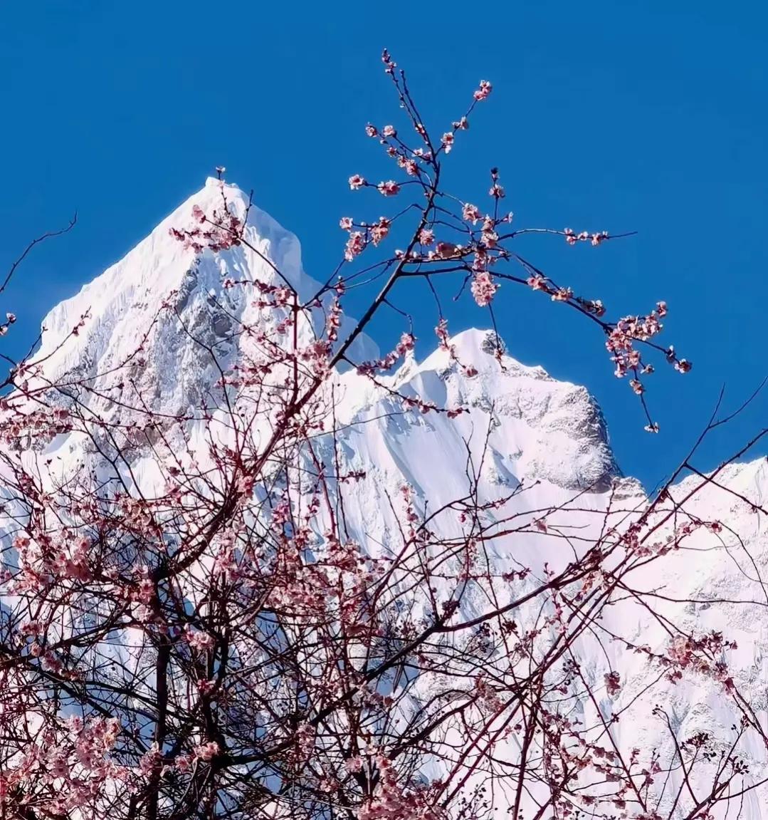 一个小学文化的农民，3年时间5次出手，如今净赚1000万