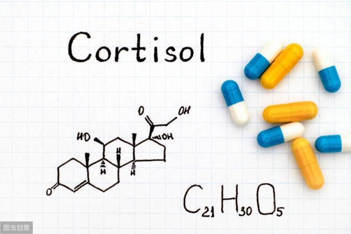 肝的作用和功能是什么,肝美健功效与作用