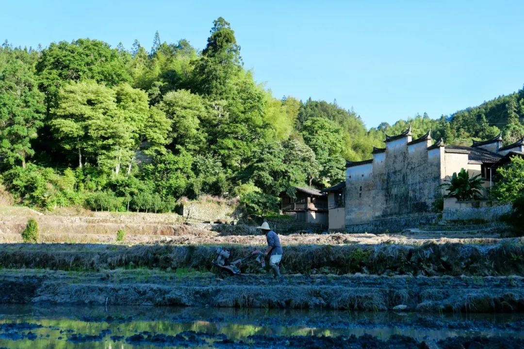 海美、小吃巨好吃！这个神还原游戏世界的小城，不该这样被埋没！