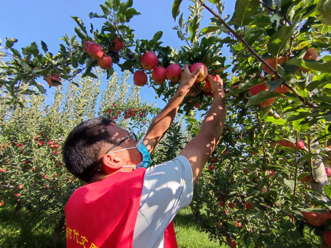 闇嶅皵鏋滄柉甯備紛杞﹀槑鍠勯敗浼埂,闇嶅皵鏋滄柉甯備紛杞﹀槑鍠勯敗浼皯鏃忎埂