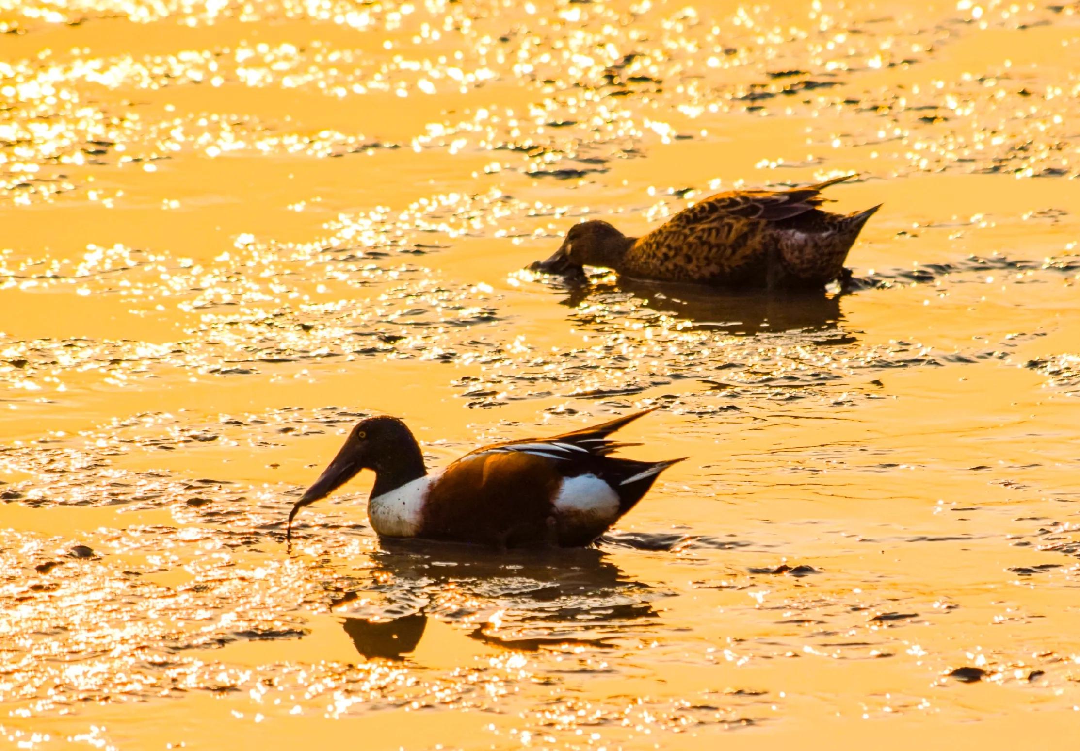 和大自然一起去旅行,和地理老师一起去旅行