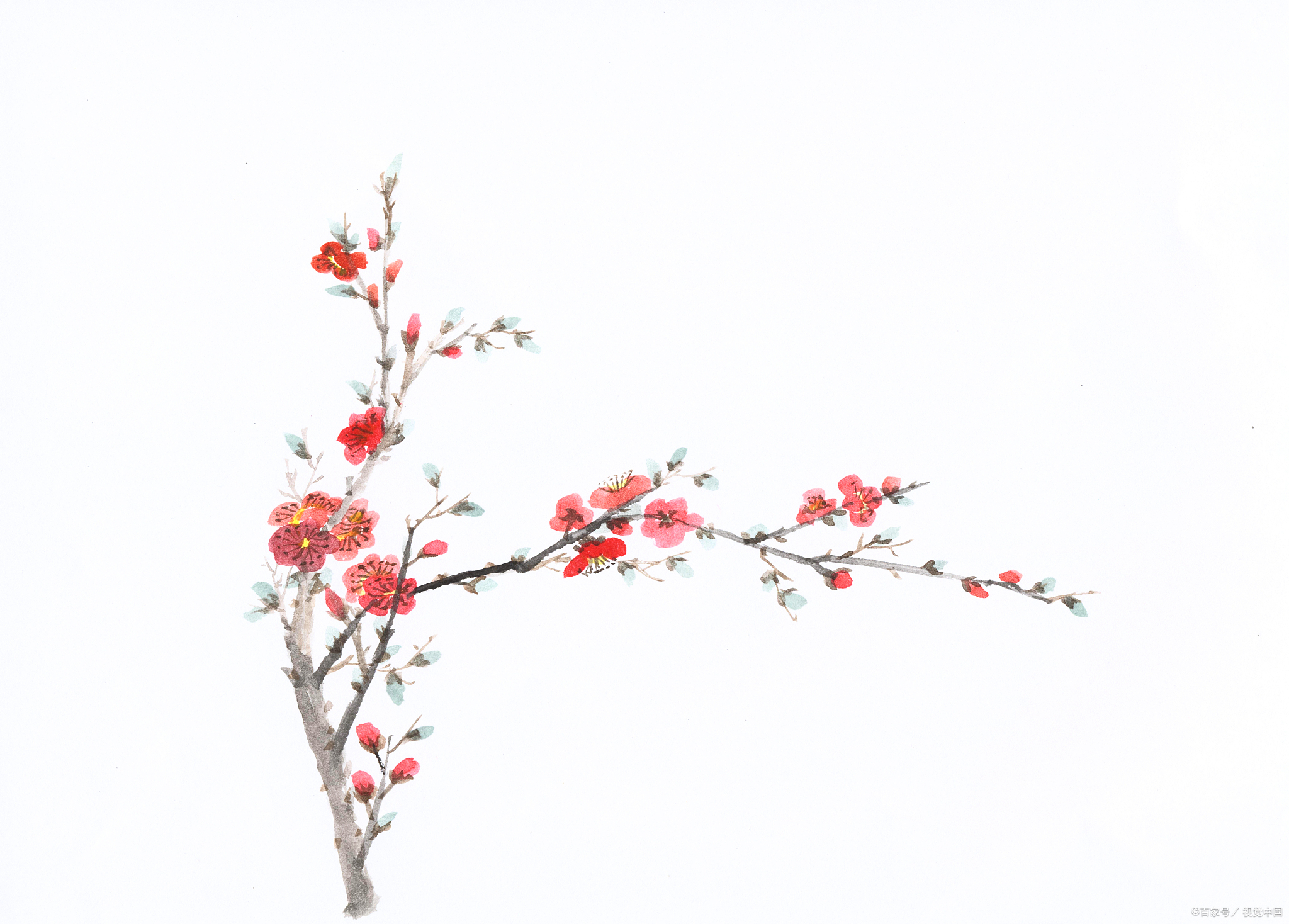 春天赏花,怎么发朋友圈才有格调,64首诗词来助力