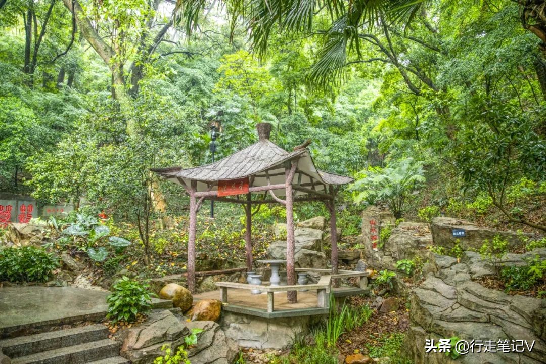 白云山避暑民宿,白云山风景区民宿推荐