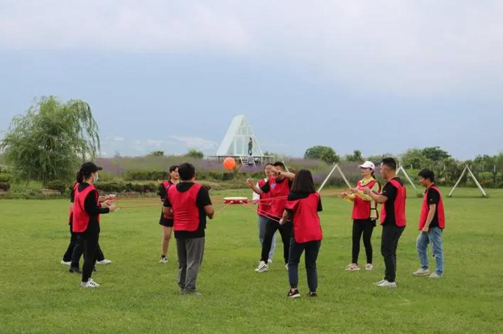 脾胃虚弱吃什么调理脾效果最好,脾胃不好怎么补脾最快最有效大人